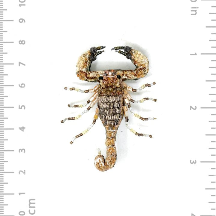 Wüstenskorpion Brosche Trovelore