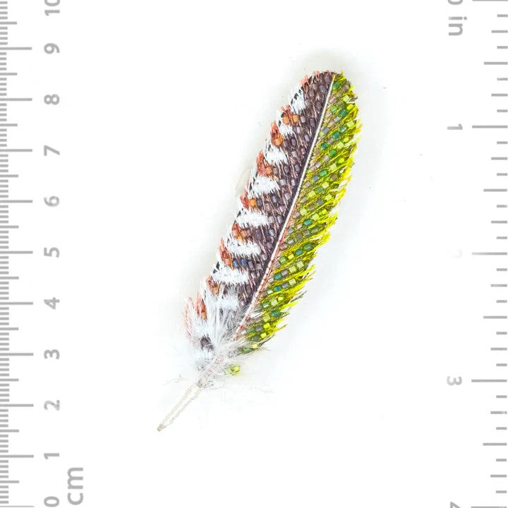 Spechtfeder Brosche Trovelore